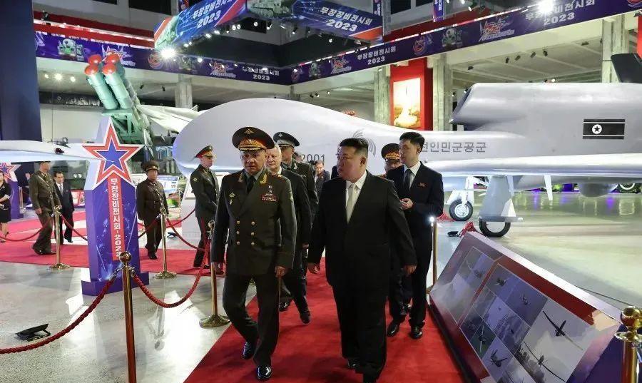 中国击落全球鹰,揭秘背后的故事与意义,揭秘中国击落全球鹰背后的故事与深远意义