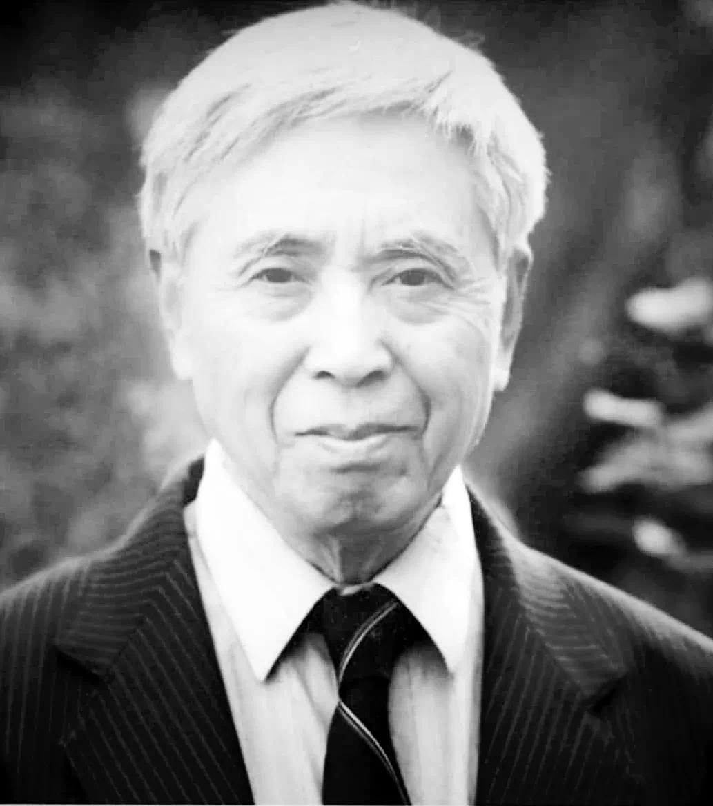 国防与军事漫画,揭示力量与荣耀的双重维度,国防与军事漫画,力量与荣耀的双重解读