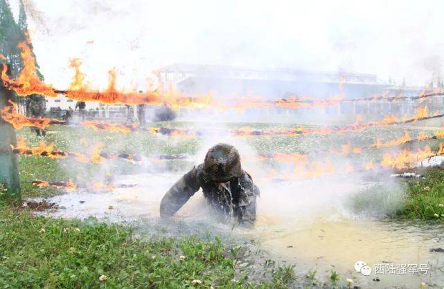 揭秘西南猎豹特战旅，英勇无畏的精英力量，揭秘英勇无畏的西南猎豹特战旅精英力量