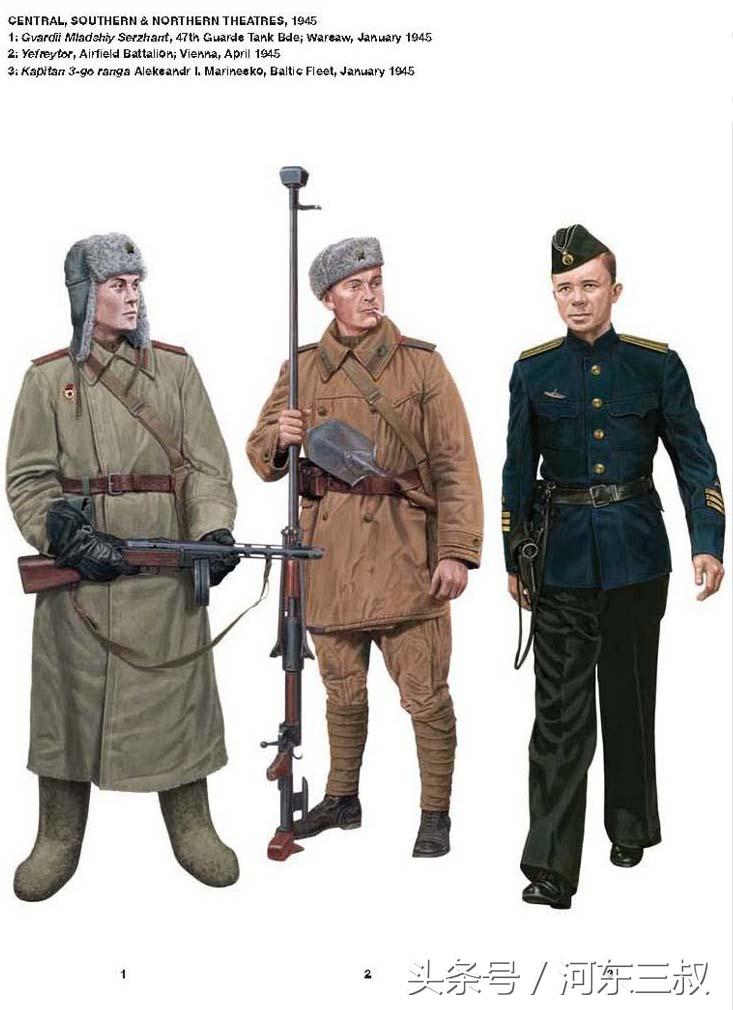 部队新勋章图片，荣耀的象征与力量的展现，部队新勋章，荣耀与力量的象征图片