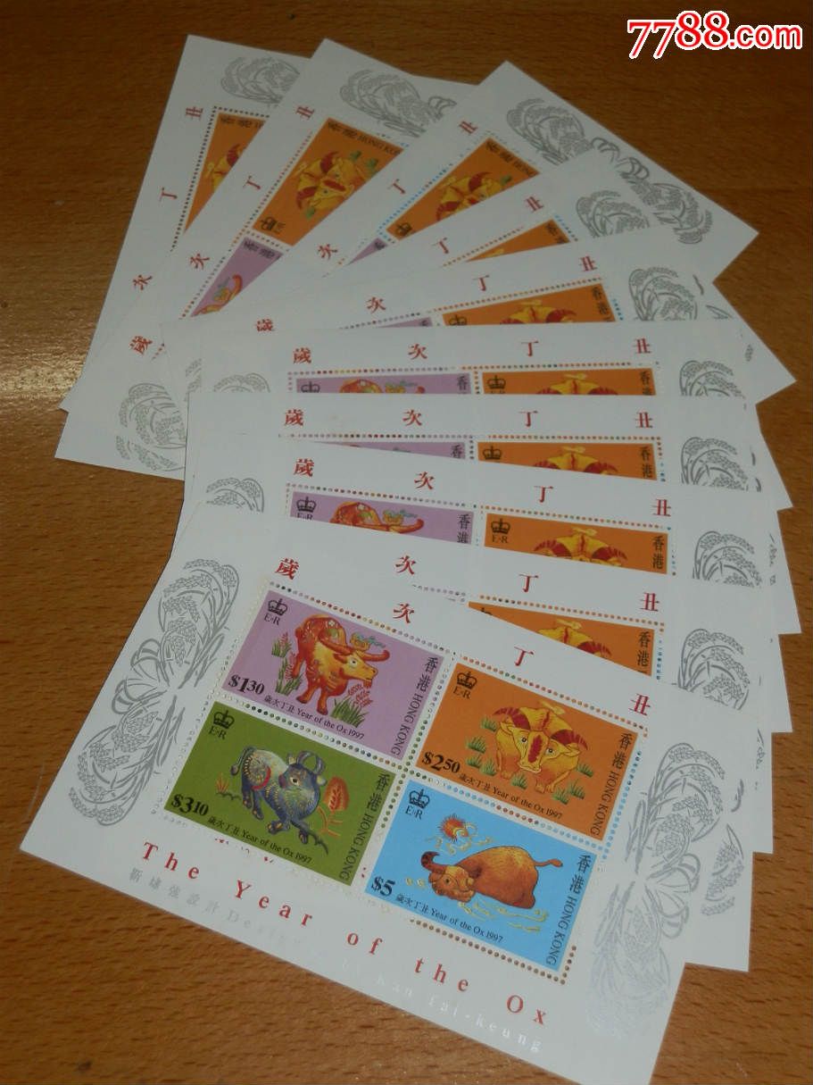 香港花猪王中王平特一肖的魅力与传奇，香港花猪王中王平特一肖，传奇魅力与故事