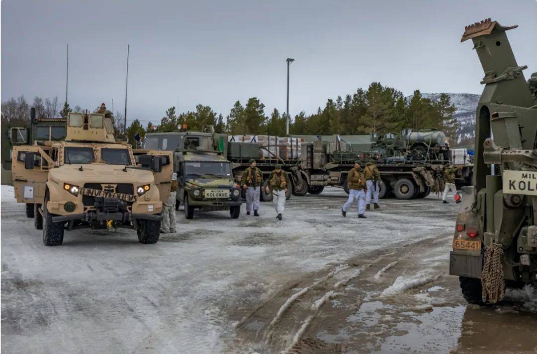 美核巨舰进入波兰，地缘政治与军事合作的深度探讨，美核巨舰进驻波兰，地缘政治与军事合作的深度探析