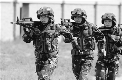 和平使命2014演习,展现国际军事合作的强大力量,和平使命2014演习揭示国际军事合作的强大力量