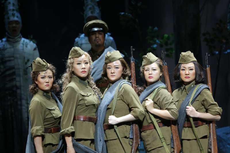 中国女兵在越南的小说，英勇与坚韧的篇章，中国女兵在越南，英勇与坚韧的传奇篇章