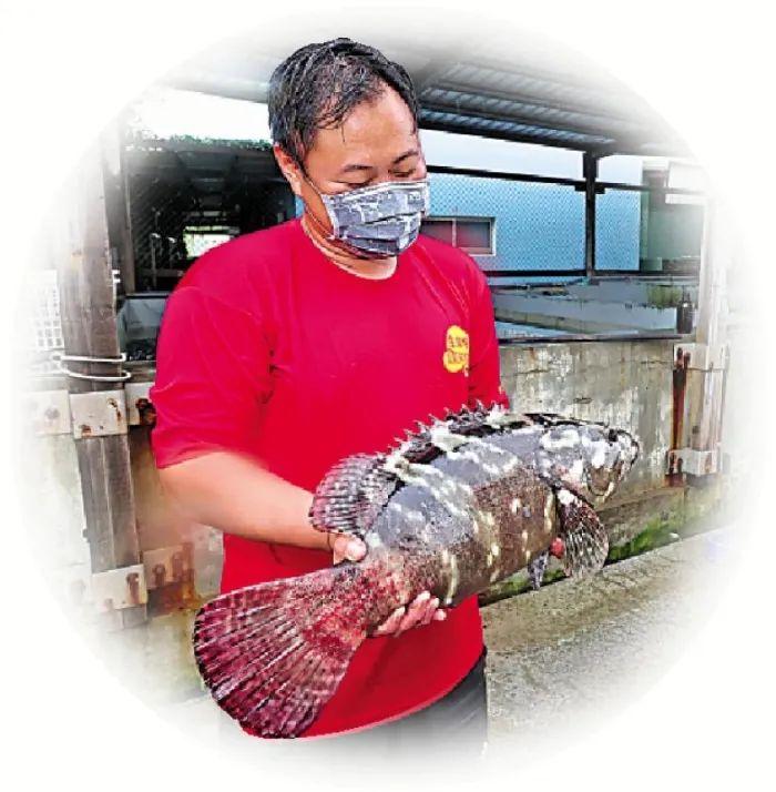 2022年台湾经济增速预测，挑战与机遇并存，2022年台湾经济增速预测，挑战与机遇并存