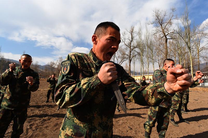 中国特种部队排名靠后的真相解析,中国特种部队排名靠后真相深度解析