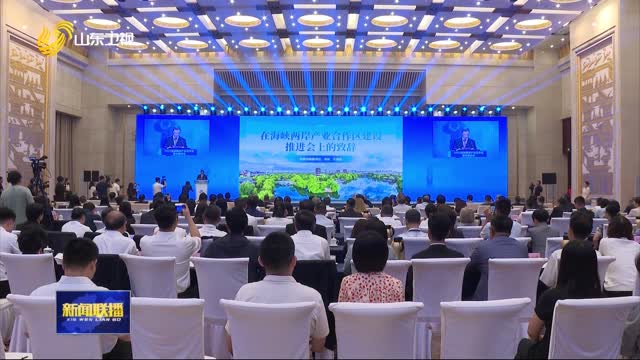 海峡两岸的未来展望,走向更加紧密的2025年,海峡两岸未来展望,迈向紧密合作的2025年