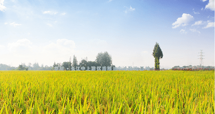 CCTV7农业,展现农村新貌,传递农业信息,CCTV7农业频道,展现农村新貌,传递农业信息资讯