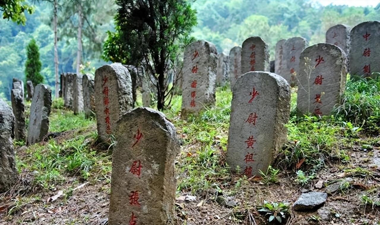 历史与艺术的融合