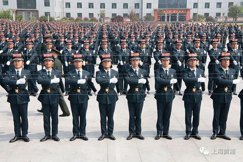 人民武装部参谋，职责、角色与挑战，人民武装部参谋的职责、角色与挑战解析