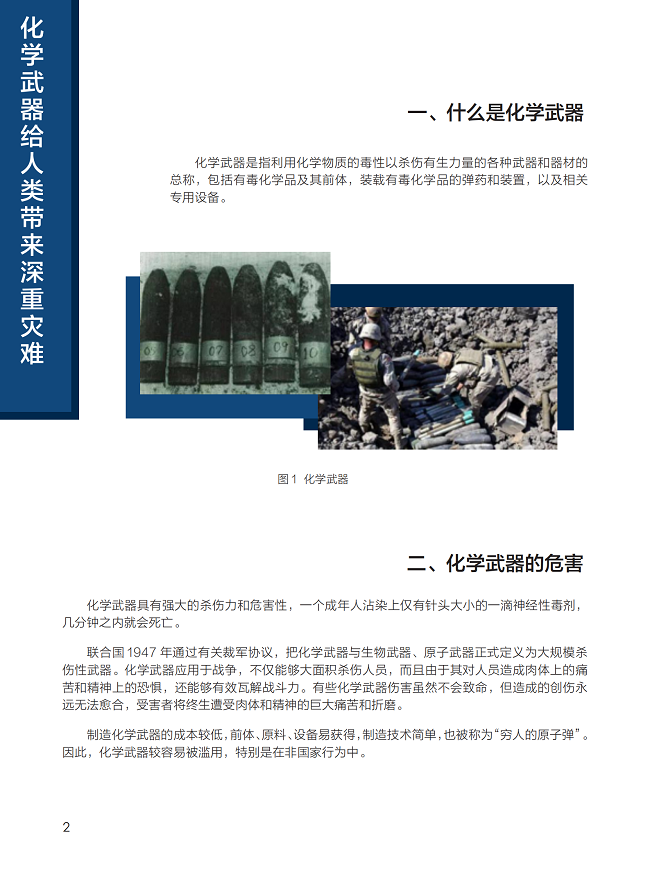 禁止化学武器组织代表,捍卫全球安全的坚定声音,坚定捍卫全球安全,化学武器组织代表的声音