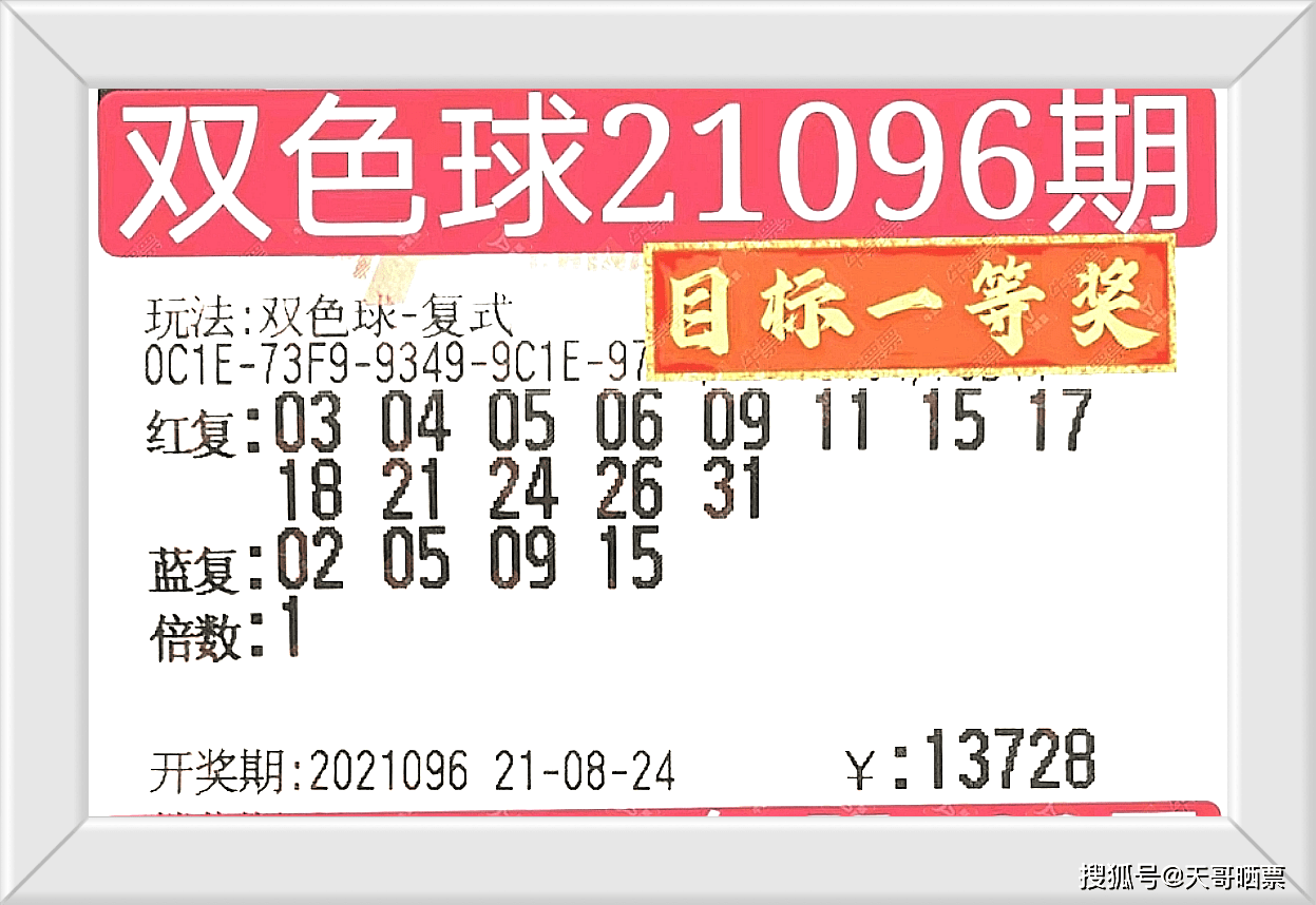 澳门彩票与未来的探索，聚焦2025年特马今晚的开码之旅，澳门彩票未来探索之旅，聚焦特马开码之夜，展望2025年展望